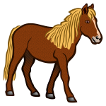 horse - coloured
